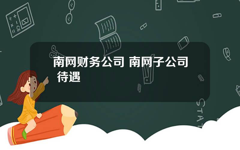 南网财务公司 南网子公司 待遇
